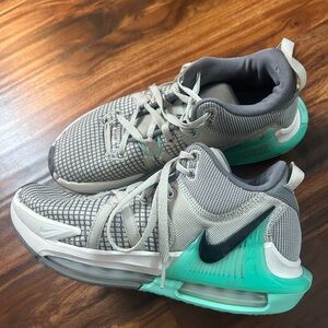 Nike Lebron Witness 7s